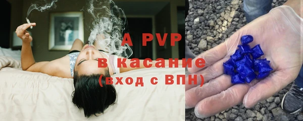 шишки Саяногорск