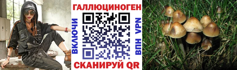 купить закладку  mega ссылка  Галлюциногенные грибы Psilocybine cubensis  Туапсе 